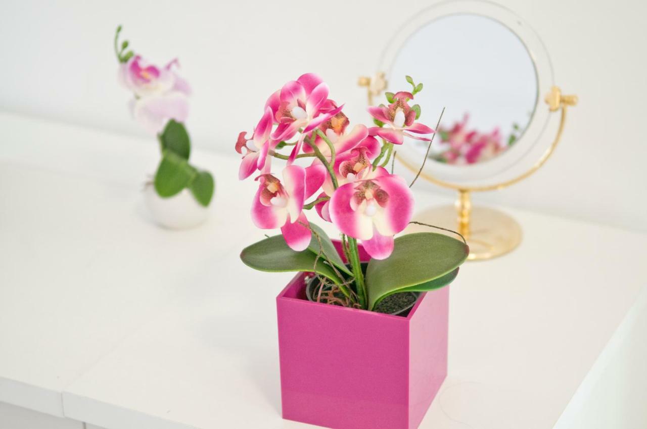 Loft Orchidee 2 Διαμέρισμα Uberlingen Εξωτερικό φωτογραφία